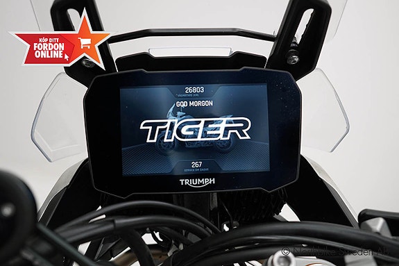 Triumph Tiger 900 Rally Pro Snabb Hemleverans* 13 of 15