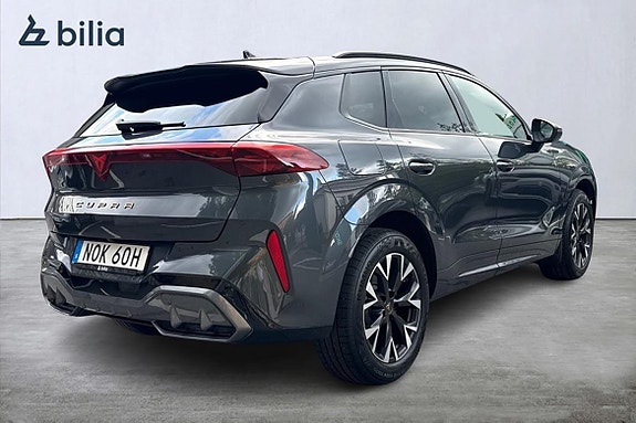 Cupra Terramar 18 of 19