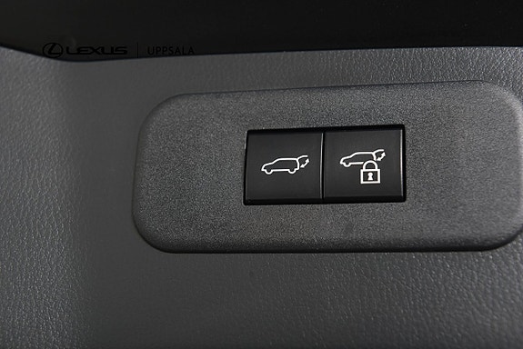 Lexus NX450h+ 10 of 24