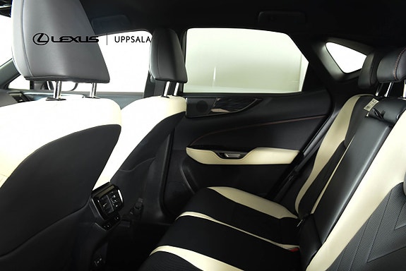 Lexus NX450h+ 7 of 24