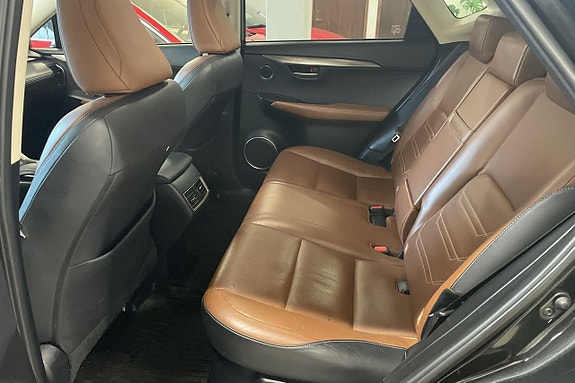 Lexus NX300h 16 of 17