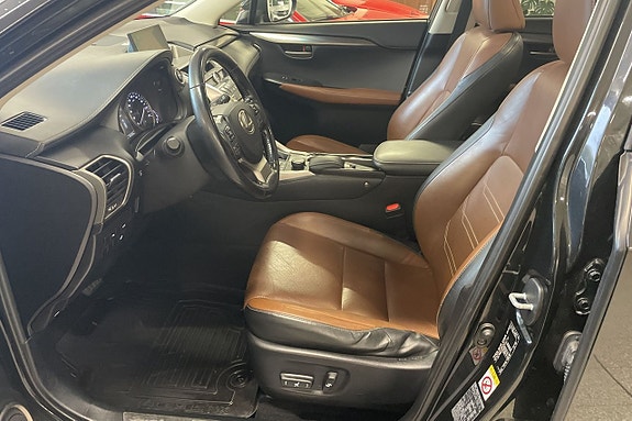 Lexus NX300h 6 of 17