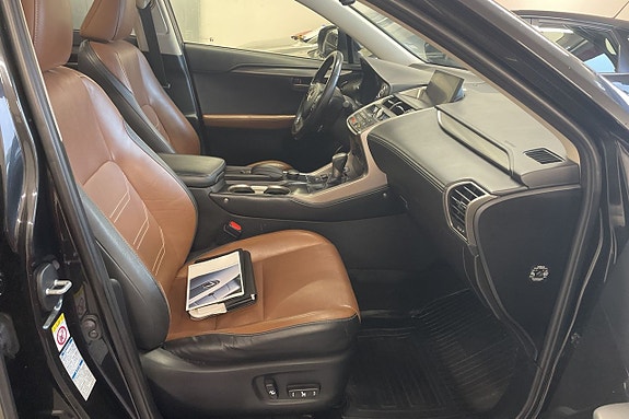 Lexus NX300h 14 of 17