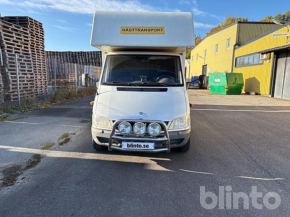 Hästtransport MERCEDES-BENZ 316 CDI 3 of 6