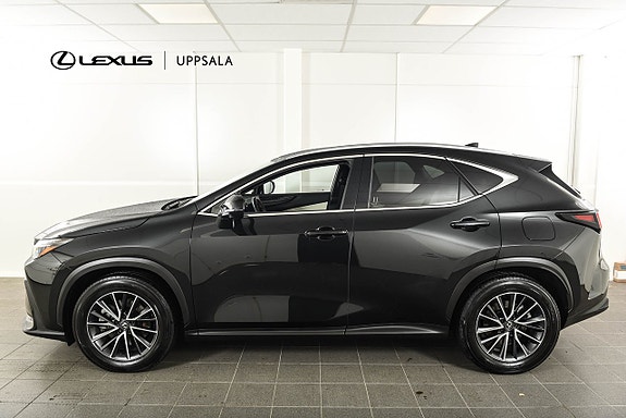 Lexus NX450h+ 2 of 19