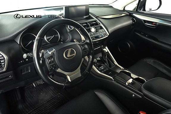 Lexus NX300h 18 of 19