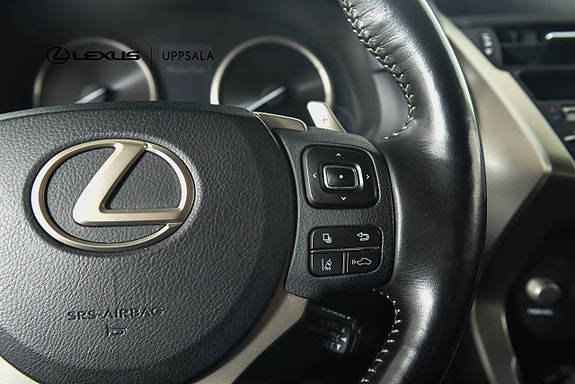 Lexus NX300h 14 of 19