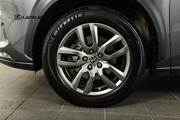 Lexus NX300h 19 of 19