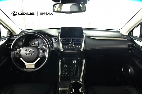 Lexus NX300h 8 of 19
