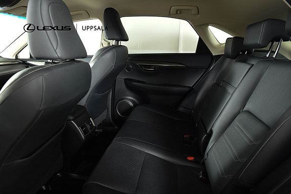 Lexus NX300h 7 of 19