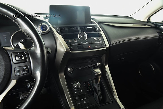 Lexus NX300h 16 of 19