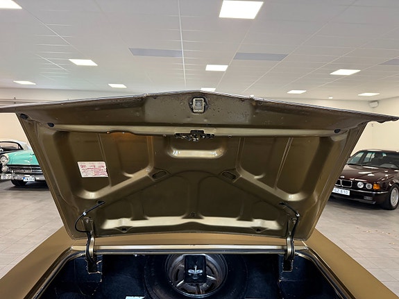 Buick Electra 225 26 of 30