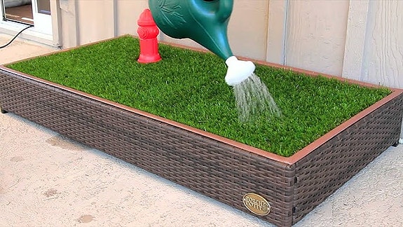 Product image 1 of 8