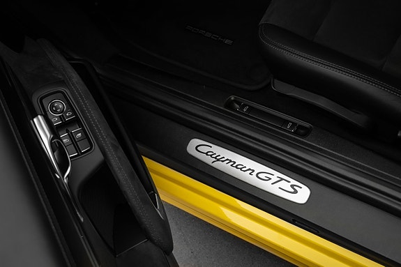Porsche Cayman GTS 20 of 30