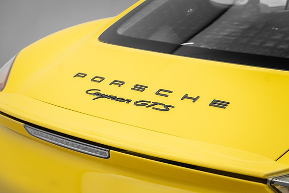 Porsche Cayman GTS 24 of 30