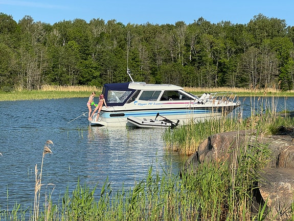 Flipper 717S Volvo Penta 570A V8 3 of 19