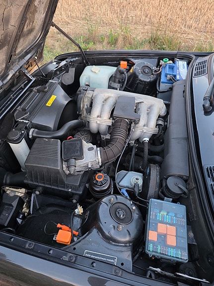BMW 318i 19 of 21