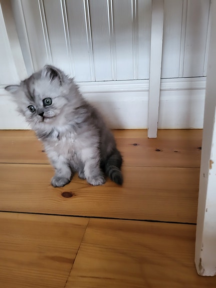 Product image 3 of 15