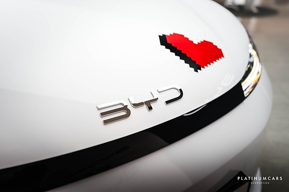 BYD Dolphin G 12 of 16