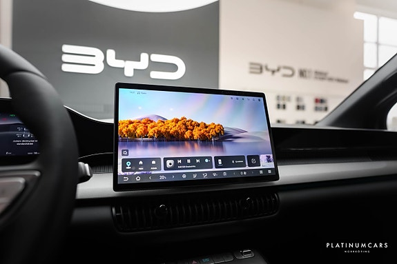 BYD Dolphin G 9 of 20