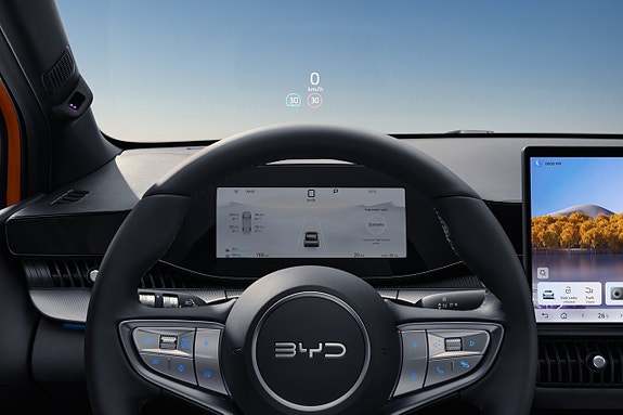 BYD Dolphin G 8 of 20