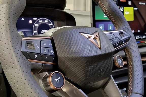 Cupra Terramar 9 of 16