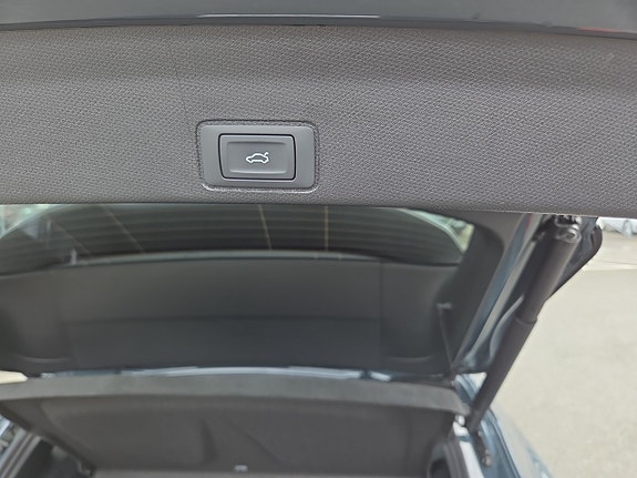 Cupra Terramar 19 of 21