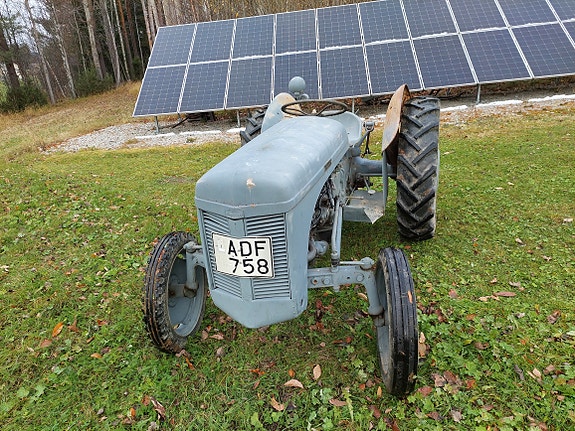 Massey Ferguson Grålle TED 20 3 of 8