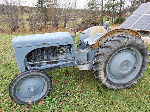 Massey Ferguson Grålle TED 20 2 of 8