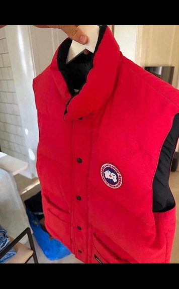 Dunväst Canada goose