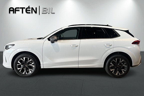 Cupra Terramar 6 of 22