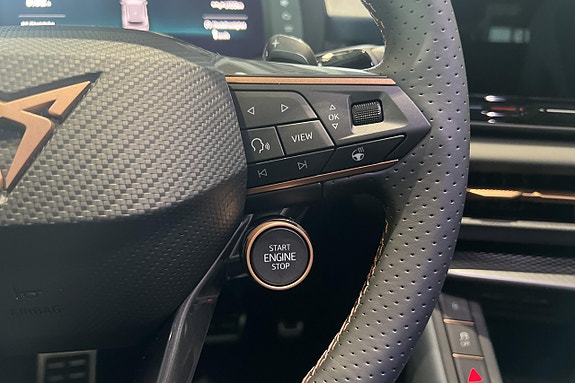 Cupra Terramar 21 of 22