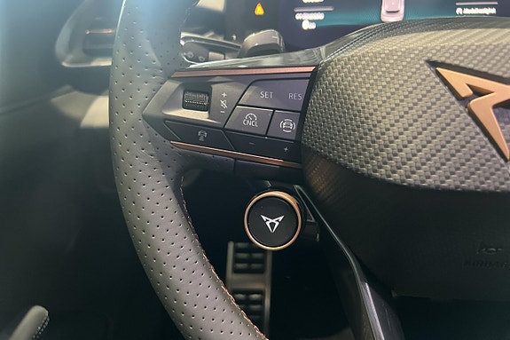 Cupra Terramar 20 of 22