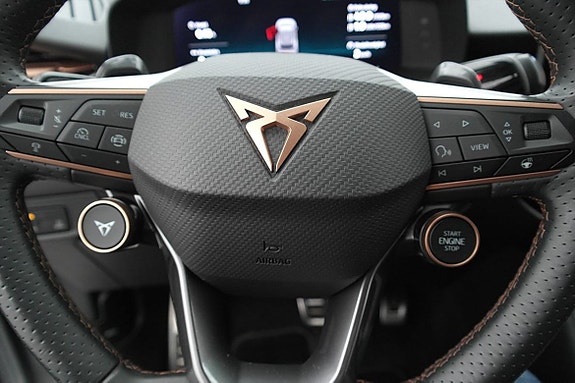 Cupra Terramar 13 of 30