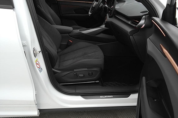 Cupra Terramar 20 of 30