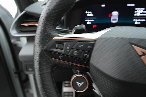 Cupra Terramar 11 of 30