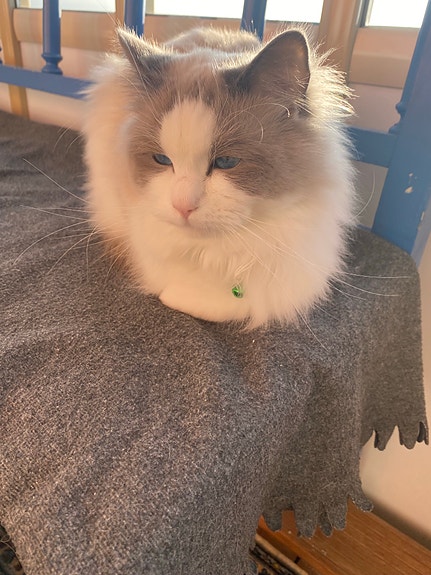 Product image 1 of 5