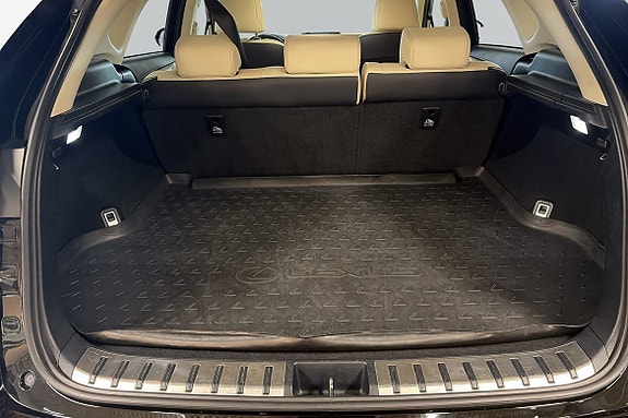 Lexus NX300h 11 of 11