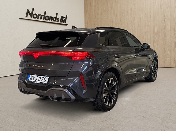 Cupra Terramar 10 of 15