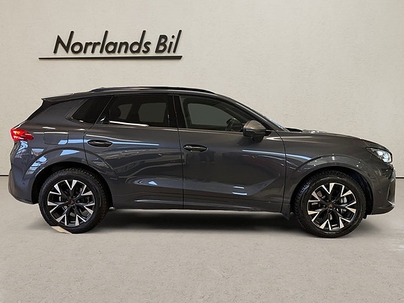 Cupra Terramar 11 of 15