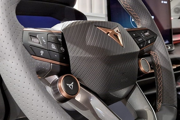 Cupra Terramar 8 of 14