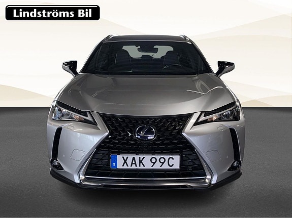 Lexus UX250h 9 of 17