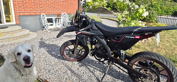 Rieju Mrt black edition 5 of 5