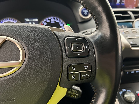 Lexus NX300h 18 of 30