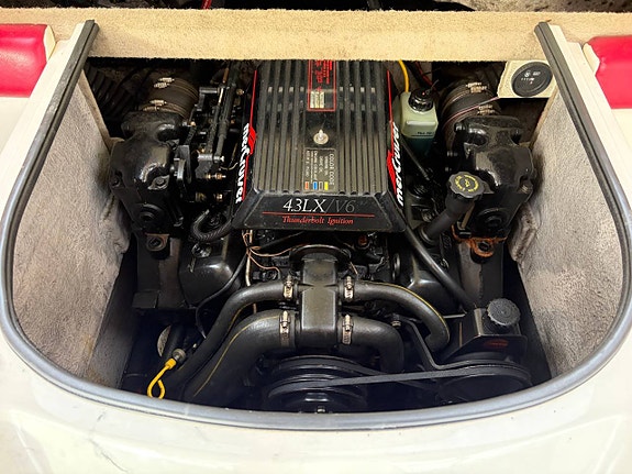 Wellcraft 21 SL Mercruiser 4.3 11 of 12