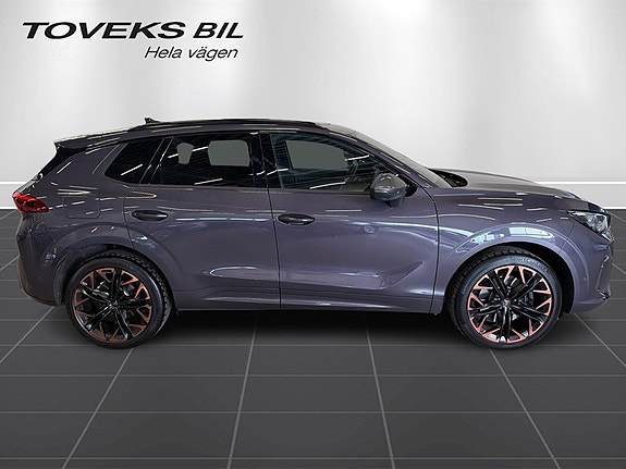 Cupra Terramar 6 of 14