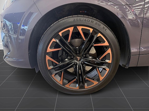 Cupra Terramar 9 of 14