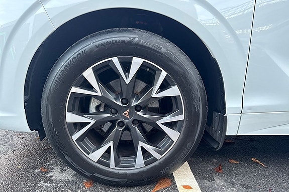 Cupra Terramar 10 of 14
