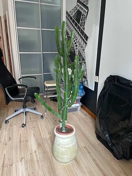 Product image 1 of 8