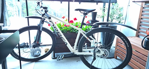 Orbea mountainbike 29" stl M unisex vit